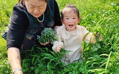 云上会所k厕系列18长腿